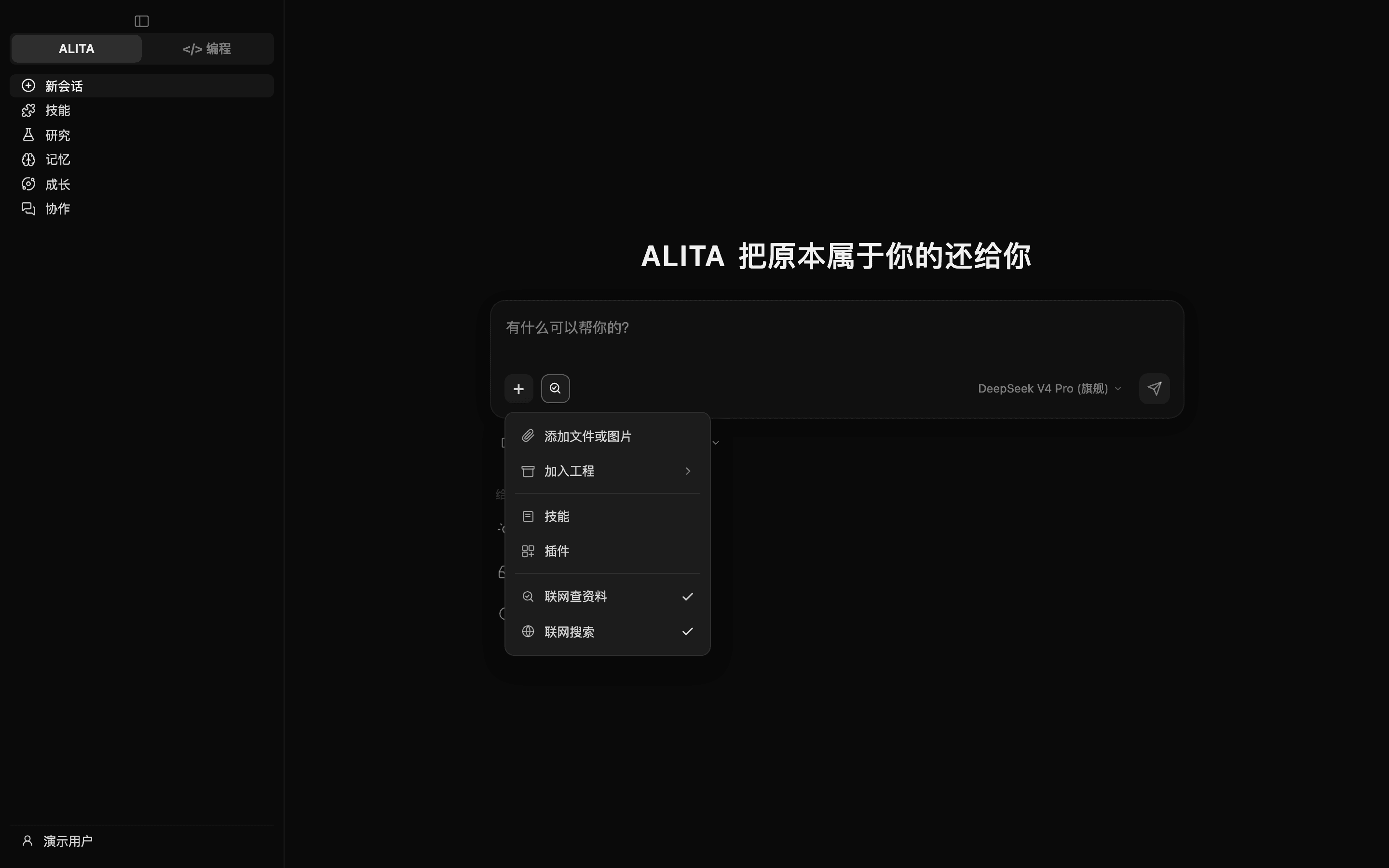 首页「+」菜单往下展开：添加文件或图片、加入工程、技能、插件、联网查资料、联网搜索，「联网查资料」已勾上（深色）